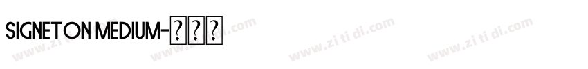 Signeton Medium字体转换